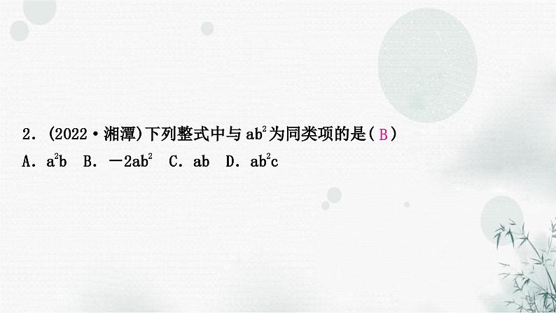 中考数学复习第一章数与式第三节整式与因式分解作业课件第3页