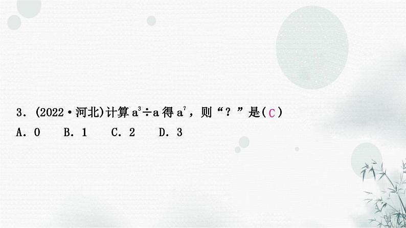 中考数学复习第一章数与式第三节整式与因式分解作业课件第4页