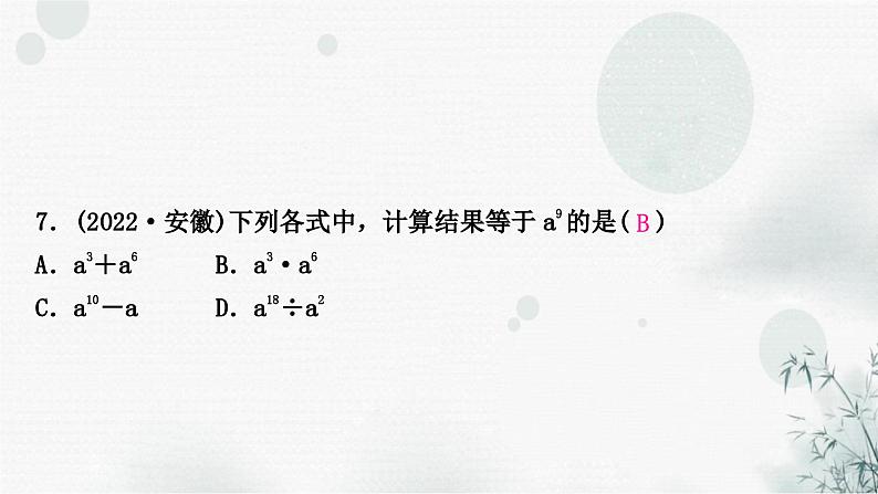 中考数学复习第一章数与式第三节整式与因式分解作业课件第8页