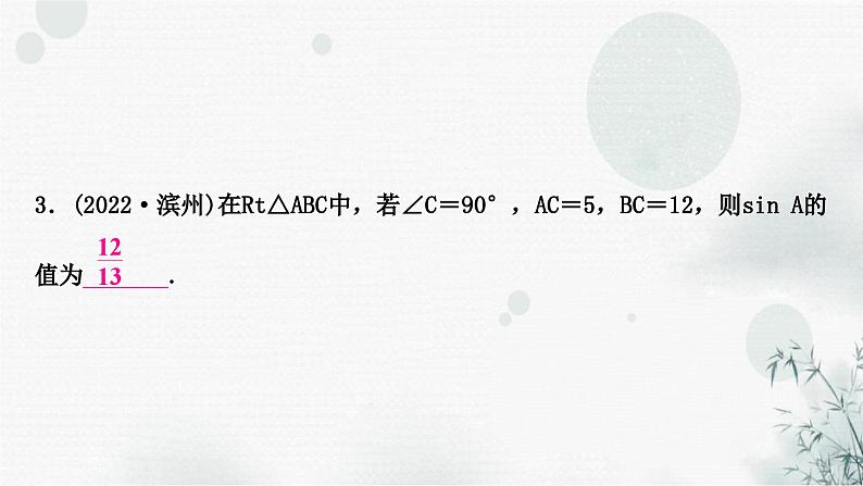 中考数学复习第四章三角形第六节锐角三角函数与解直角三角形作业课件第4页