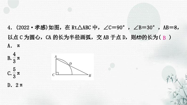 中考数学复习第六章圆第三节与圆有关的计算作业课件第5页