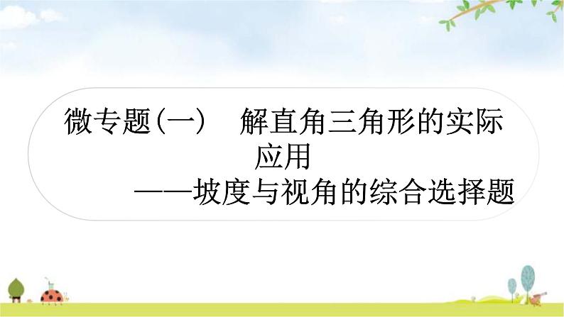 中考数学复习微专题(一)解直角三角形的实际应用教学课件01