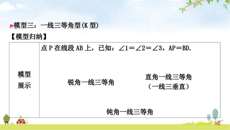 中考数学复习方法技巧突破(二)全等三角形之六大模型教学课件08