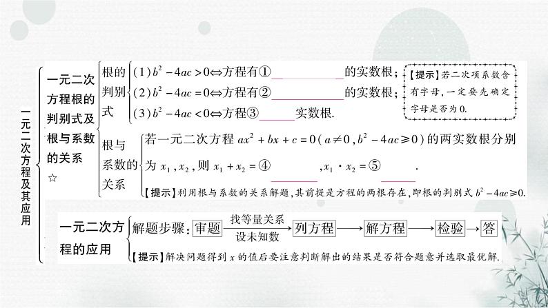 中考数学复习第二章方程(组)与不等式(组)第二节一元二次方程及其应用教学课件05