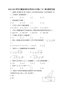 2022-2023学年安徽省阜阳市界首市七年级（下）期末数学试卷（含解析）