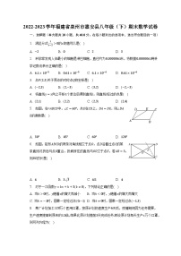 2022-2023学年福建省泉州市惠安县八年级（下）期末数学试卷（含解析）