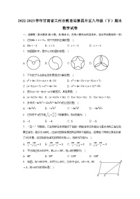 2022-2023学年甘肃省兰州市教育局第四片区八年级（下）期末数学试卷（含解析）