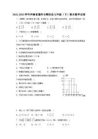 2022-2023学年河南省漯河市舞阳县七年级（下）期末数学试卷（含解析）