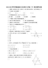 2022-2023学年河南省新乡市长垣市七年级（下）期末数学试卷（含解析）