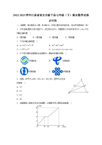 2022-2023学年江西省吉安市新干县七年级（下）期末数学试卷（含解析）