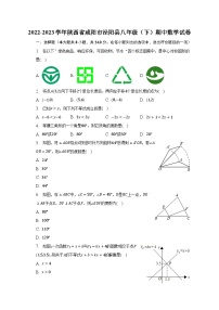 2022-2023学年陕西省咸阳市泾阳县八年级（下）期中数学试卷（含解析）