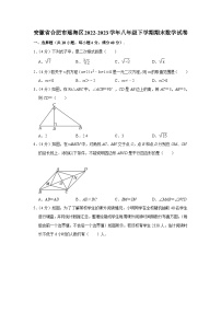 安徽省合肥市瑶海区2022-2023学年八年级下学期期末数学试卷（解析版）