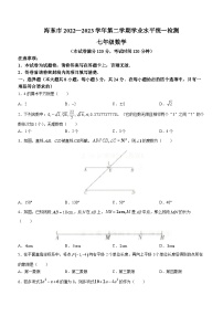 青海省海东市2022-2023学年七年级下学期期末数学试题（含答案）