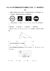 湖南省张家界市桑植县2022-2023学年下学期八年级期末数学试卷（含答案）