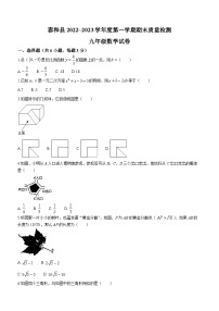 江西省吉安市泰和县2022-2023学年九年级上学期期末数学试题（含答案）