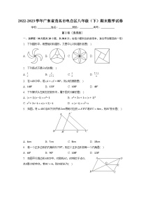 2022-2023学年广东省茂名市电白区八年级（下）期末数学试卷（含解析）