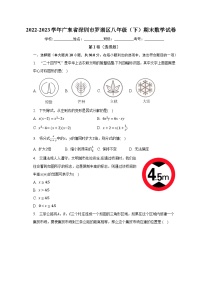 2022-2023学年广东省深圳市罗湖区八年级（下）期末数学试卷（含解析）