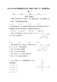 2022-2023学年河南省驻马店市上蔡县八年级（下）期末数学试卷（含解析）