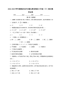 2022-2023学年湖南省长沙市雅礼教育集团八年级（下）期末数学试卷（含解析）