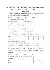 2022-2023学年辽宁省大连市西岗区八年级（下）期末数学试卷（含解析）