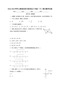 2022-2023学年云南省昆明市盘龙区八年级（下）期末数学试卷（含解析）