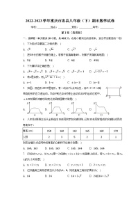 2022-2023学年重庆市忠县八年级（下）期末数学试卷（含解析）