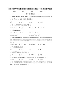 2022-2023学年安徽省安庆市桐城市七年级（下）期末数学试卷（含解析）