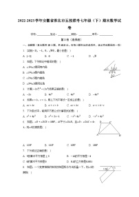 2022-2023学年安徽省淮北市五校联考七年级（下）期末数学试卷（含解析）