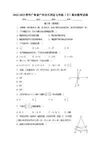 2022-2023学年广东省广州市天河区七年级（下）期末数学试卷（含解析）