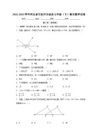 2022-2023学年河北省石家庄市赵县七年级（下）期末数学试卷（含解析）