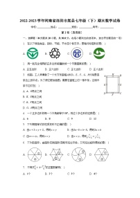 2022-2023学年河南省洛阳市嵩县七年级（下）期末数学试卷（含解析）