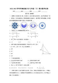 2022-2023学年河南省新乡市七年级（下）期末数学试卷（含解析）