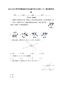 2022-2023学年河南省驻马店市遂平县七年级（下）期末数学试卷（含解析）