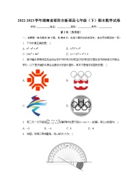 2022-2023学年湖南省邵阳市新邵县七年级（下）期末数学试卷（含解析）