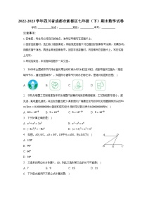 2022-2023学年四川省成都市新都区七年级（下）期末数学试卷（含解析）