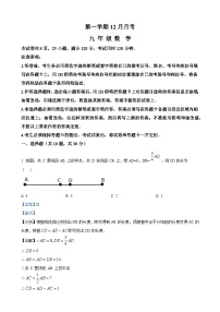 七年级上学期月考数学试题