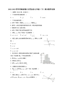 2022-2023学年河南省商丘市民权县七年级（下）期末数学试卷（含解析）