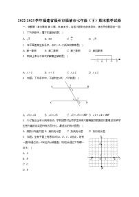 2022-2023学年福建省福州市福清市七年级（下）期末数学试卷（含解析）