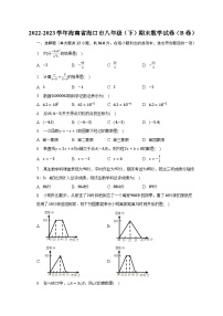 2022-2023学年海南省海口市八年级（下）期末数学试卷（B卷）（含解析）