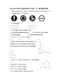 2022-2023学年江苏省常州市八年级（下）期末数学试卷（含解析）