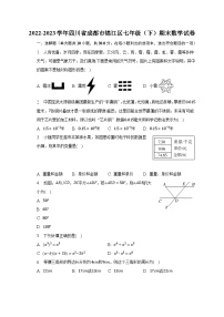 2022-2023学年四川省成都市锦江区七年级（下）期末数学试卷