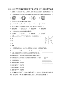 2022-2023学年河南省洛阳市洛宁县七年级（下）期末数学试卷-普通用卷