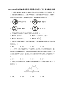 2022-2023学年河南省洛阳市汝阳县七年级（下）期末数学试卷-普通用卷