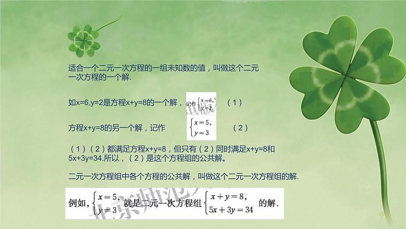 北师大版数学八年级上册课件第五章 二元一次方程第8页