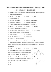 2022-2023学年陕西省西安市高新逸翠园中学、高新三中、高新五中七年级（下）期末数学试卷（含解析）