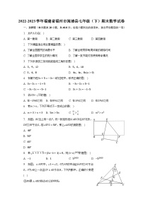 2022-2023学年福建省福州市闽清县七年级（下）期末数学试卷（含解析）