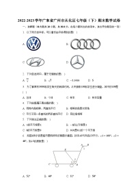 2022-2023学年广东省广州市从化区七年级（下）期末数学试卷（含解析）