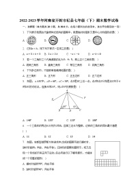 2022-2023学年河南省开封市杞县七年级（下）期末数学试卷（含解析）