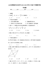 山东省聊城市东昌府区2022-2023学年八年级下学期期中数学试题（含解析）