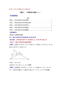 数学八年级下暑假培优专题复习（7）